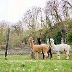 Glamping Valkenburg Campismo de Luxo Meerssen