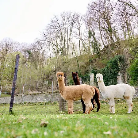 Glamping Valkenburg Luksusowy namiot Meerssen