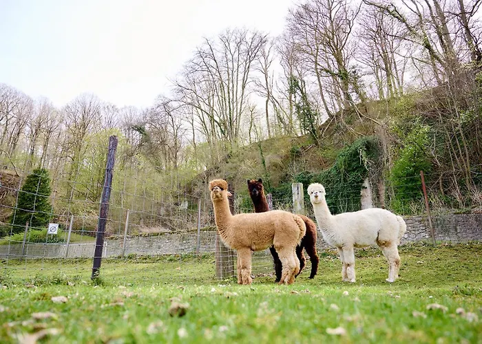 Glamping Valkenburg Tente de luxe Meerssen